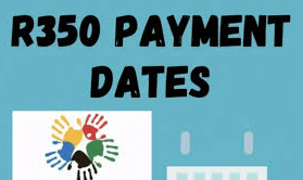 Sassa Status Check For R350 Payment Dates