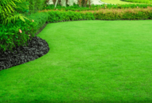 Using Anuew EZ For Seasonal Lawn Care: Application Tips And Best Practices