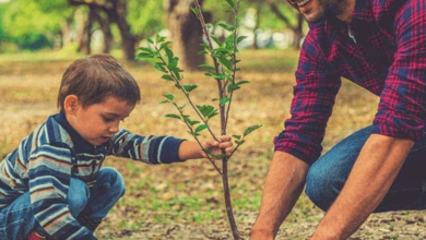 Eternal Growth: How Planting Trees Can Create Lasting Legacies For Departed Loved Ones