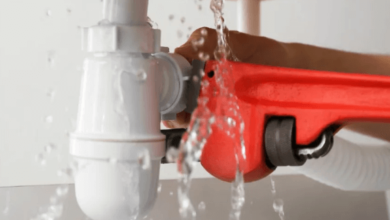 Routine Plumbing Maintenance: Why It's Important and What's Involved