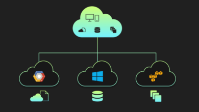 Optimizing Network Services for Multi-Cloud Environments