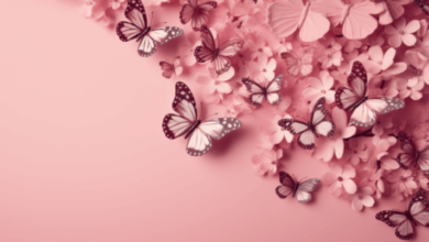 Aesthetic:_4djwtmdnti= Butterfly Wallpaper