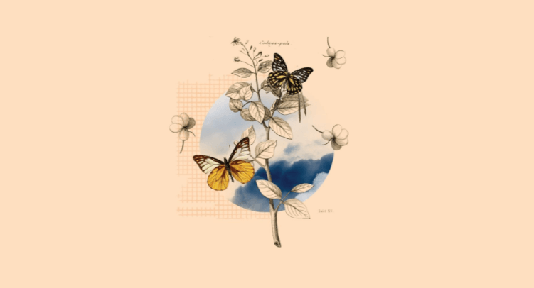 Aesthetic:_4djwtmdnti= Butterfly Wallpaper