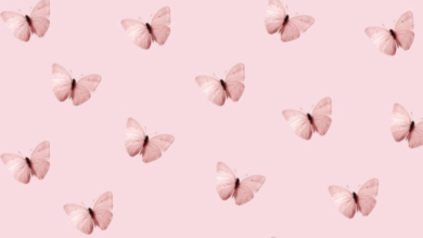 Desktop:3bfrrbfuxly= Aesthetic Pink Wallpaper