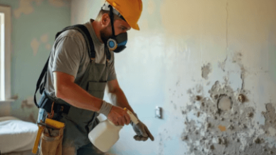 Mold Remediation Services