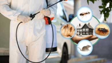 Pest Control Services