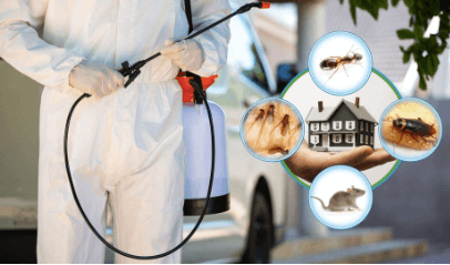 Pest Control Services