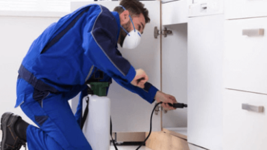 Pest Inspection Services