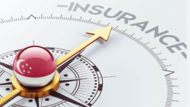 Features of a Term Insurance Plan