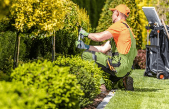 Landscaping Services