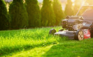 Lawn Care Services