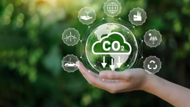 Net Zero and Carbon Capture: What You Need to Know