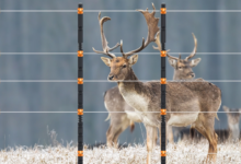 Poly Deer Fences and Tensioning: When It’s Necessary and How to Maintain Optimal Performance