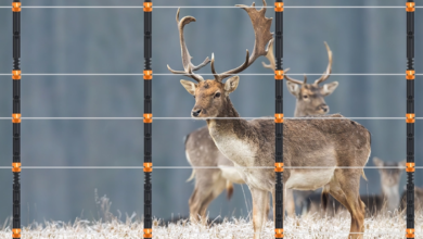 Poly Deer Fences and Tensioning: When It’s Necessary and How to Maintain Optimal Performance