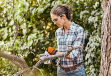 How to Maintain Trees Safely and Effectively