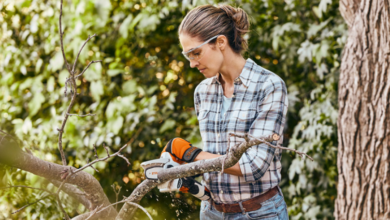 How to Maintain Trees Safely and Effectively