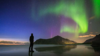 Northern Lights Forecast: How to Predict, Plan, and Actually Catch the Aurora Borealis
