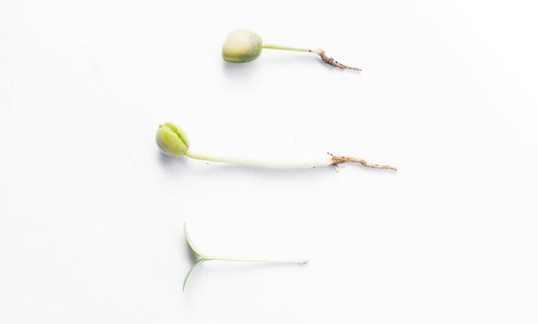 apex prism fueling growth