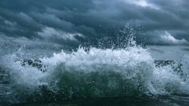 apex surge transformative growth