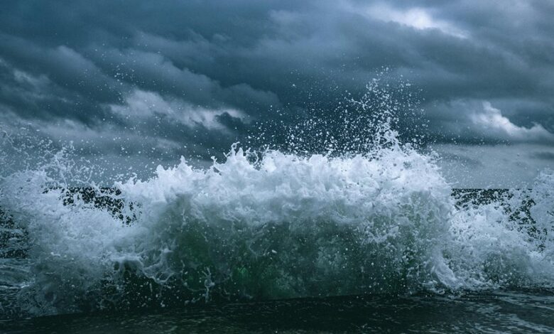 apex surge transformative growth