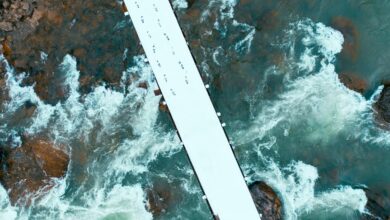 elevation flow start driving innovation