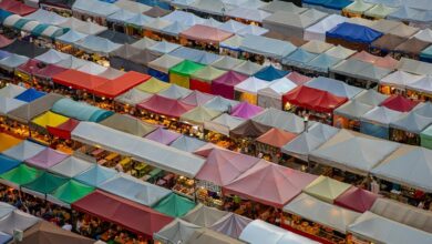 elevation wave start unlocking market opportunities