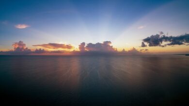 igniting transformative horizons growth