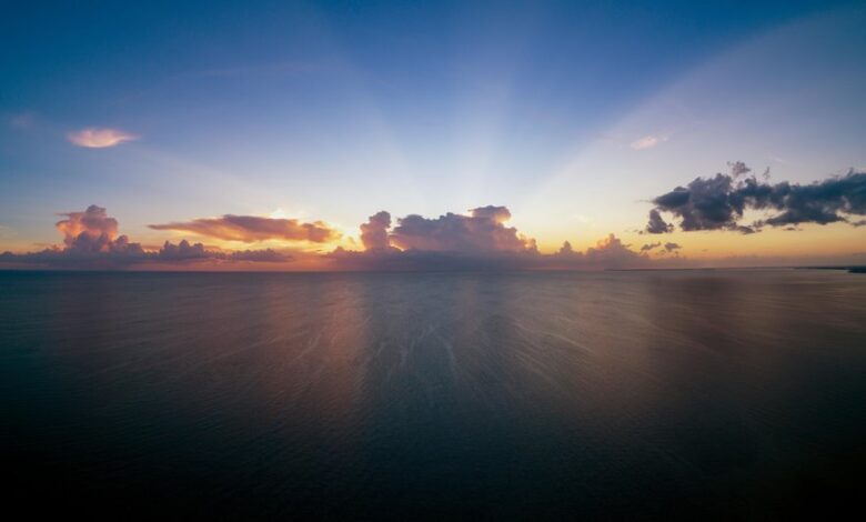 igniting transformative horizons growth