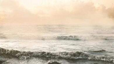 luminous flow start horizons