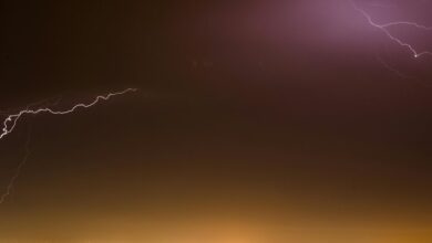 luminous surge sparks market success