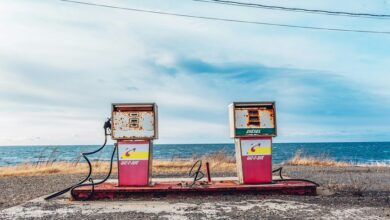 luminous surge start fourfold growth