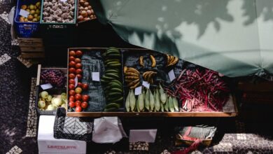 stellar flow start shaping market innovation