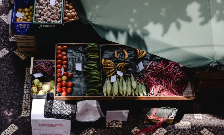 stellar flow start shaping market innovation