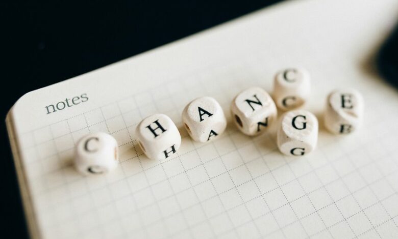 stellar flow starts leadership transformation