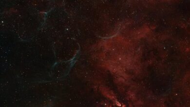 stellar surge start 18664315025