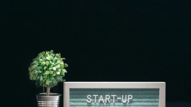 stellar surge start shaping next level innovation