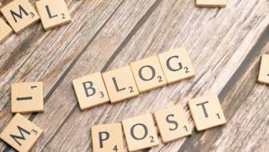 blog discovery portal reveals article contents