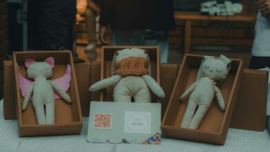 diy toy creation portal curiosity