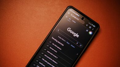 phone number lookup directory search interest