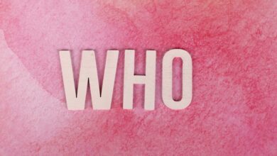 random keyword exploration hub