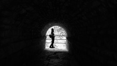 social username discovery portal search results