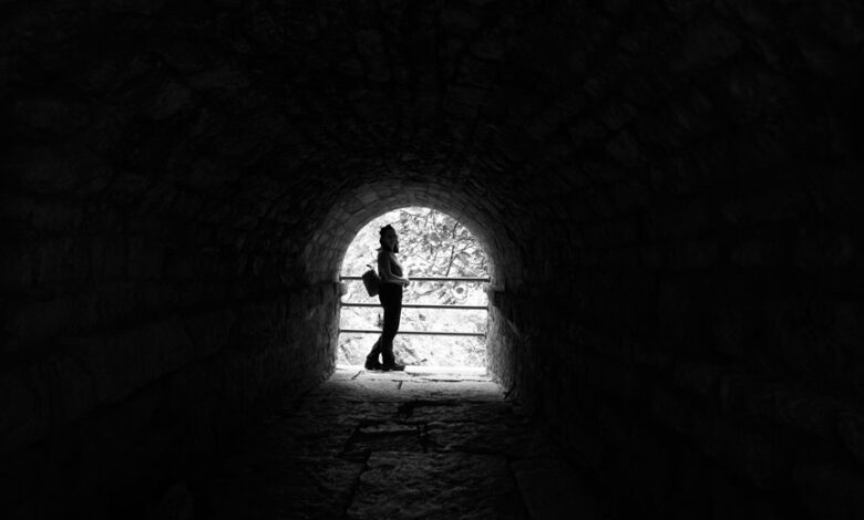 social username discovery portal search results