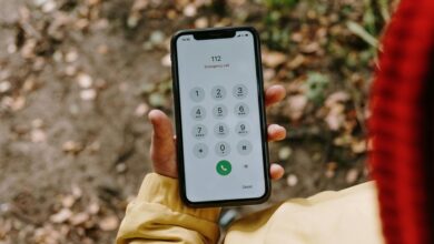 spammy reverse phone lookup request