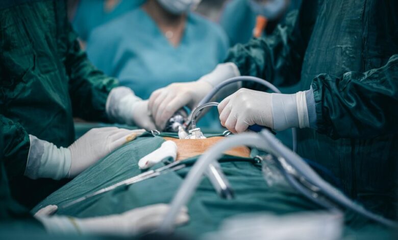 thyroidectomy insight and searches