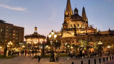 Get cheap flights to Guadalajara and discover culture at its most