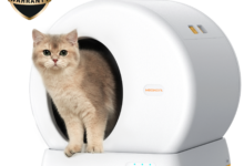 Discover the Best Litter Box for Low Entry and Quiet Use