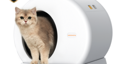 Discover the Best Litter Box for Low Entry and Quiet Use