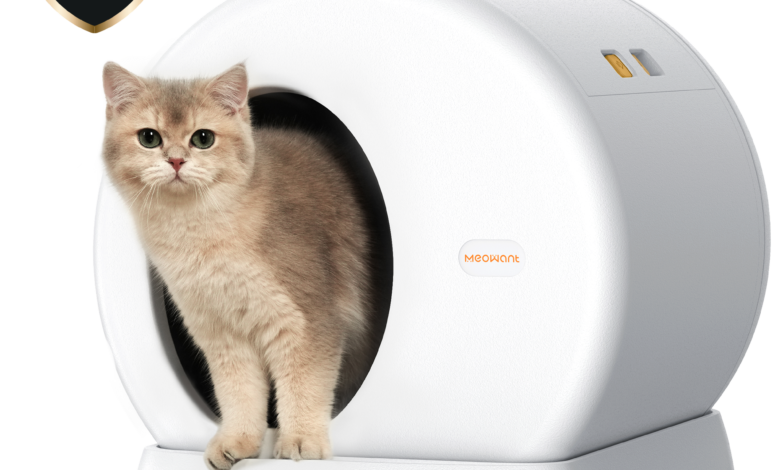 Discover the Best Litter Box for Low Entry and Quiet Use