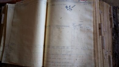 investigate specific number registry records