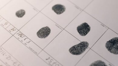 public registry evidence ids listed